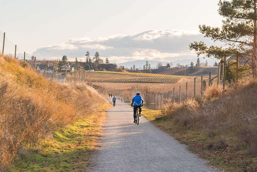 Person cycling on a rural gravel path with dry grass fields, fencing, and mountains in the distance under cloudy sky