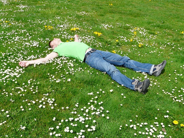 Person lying on grass with white and yellow flowers