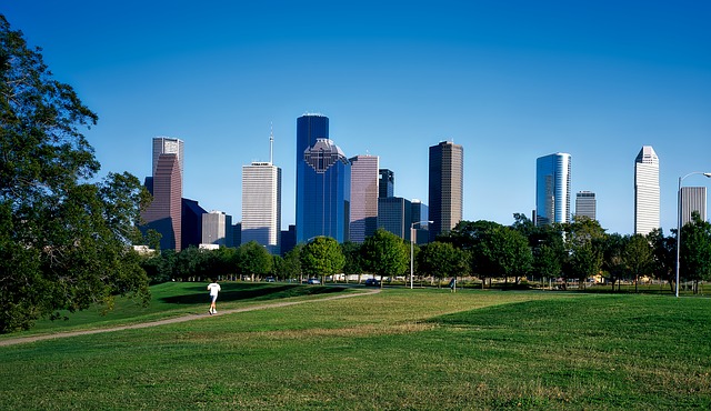 Urban park with green grass and trees, city skyline with tall buildings in background under clear blue sky